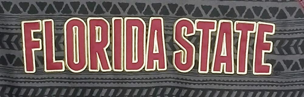 Colosseum Florida State Seminoles 1/4 Zip Pullover Womens L Aztec Fleece Gray